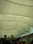DSCN0291.jpg