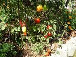 DSCN0536.jpg