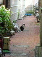 DSCN4173.jpg