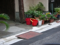 DSCN4334.jpg