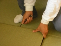 DSCN4744.jpg