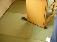 DSCN4747.jpg