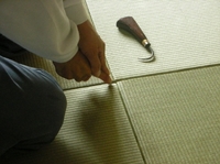 DSCN4749.jpg