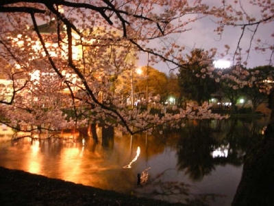 DSCN5362.jpg
