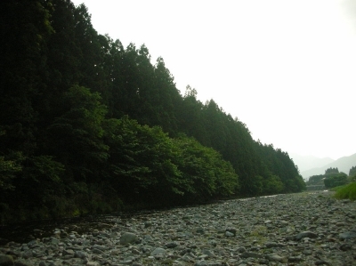 DSCN5466.jpg