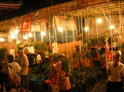 DSCN5548.jpg