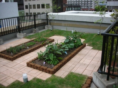 DSCN5645.jpg