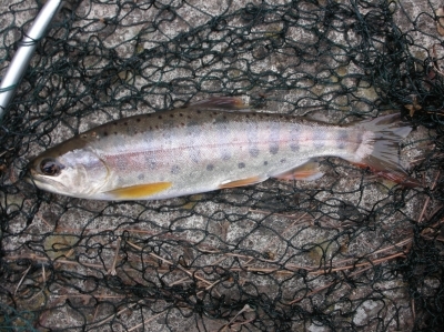 DSCN6128.jpg